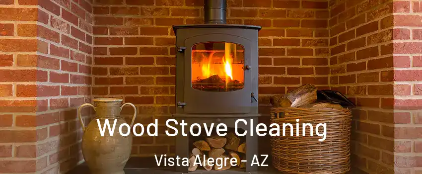 Wood Stove Cleaning Vista Alegre - AZ